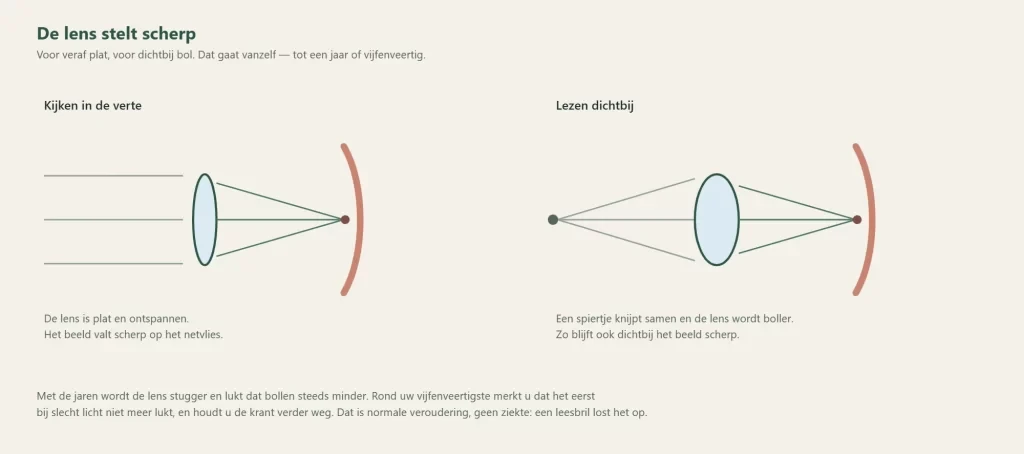 De ooglens plat bij kijken in de verte en bol bij lezen dichtbij