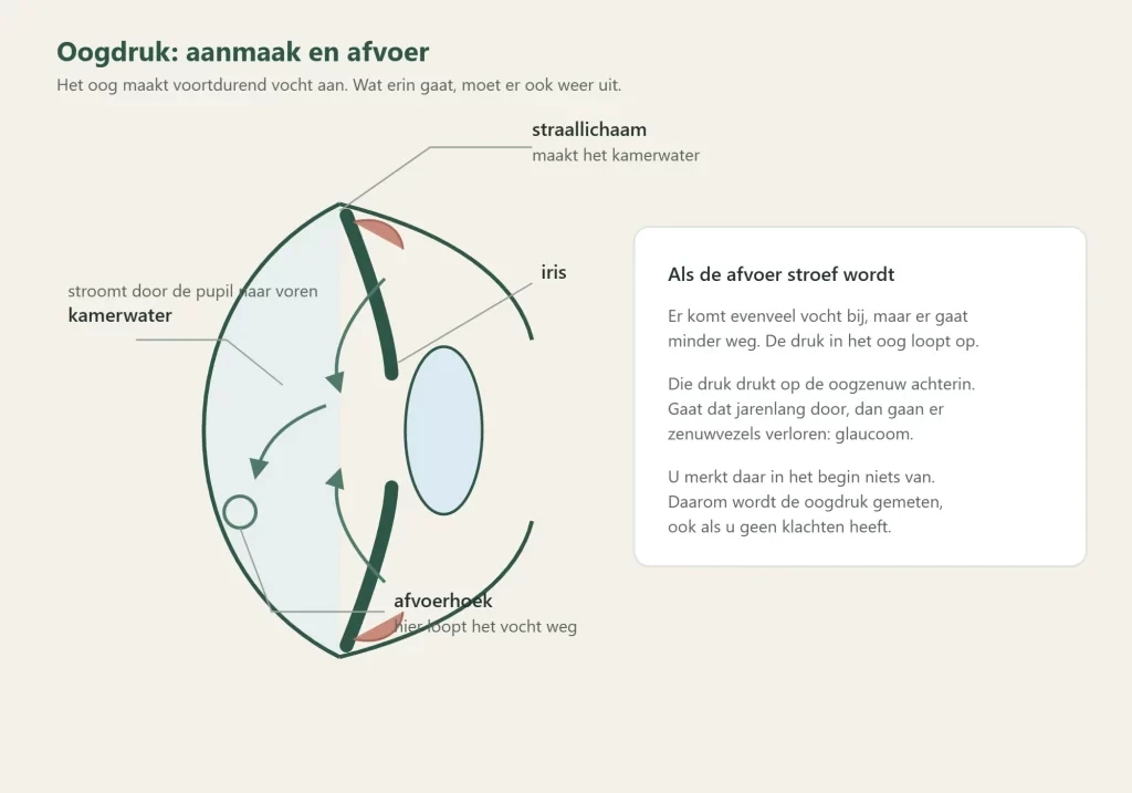 Aanmaak en afvoer van kamerwater in het oog