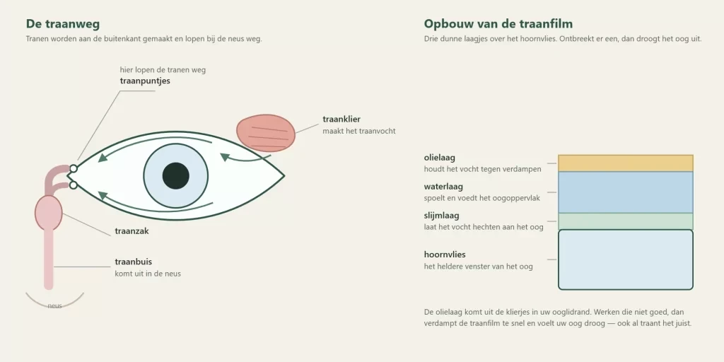 De traanweg en de drie lagen van de traanfilm